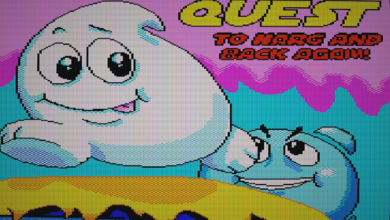 Foggy’s Quest 29